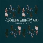 Walking With My God (feat. Lin D) by Terrian